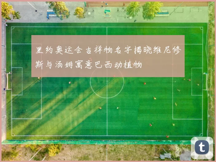 里约奥运会吉祥物名字揭晓维尼修斯与汤姆寓意巴西动植物